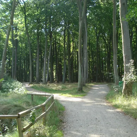 Ferienobjekt Mueritz A12 *