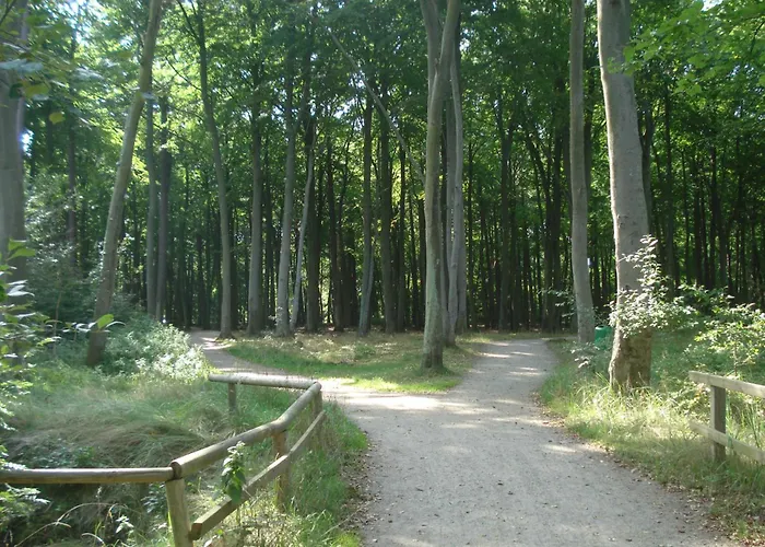 Ferienobjekt Mueritz A12 *